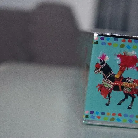 公寓 Ulisse Maison De Charme 夏卡